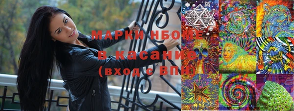 прущая мука Арсеньев
