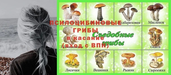 ГАЛЛЮЦИНОГЕННЫЕ ГРИБЫ Алзамай