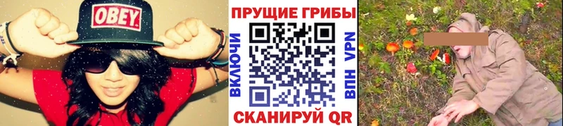 Псилоцибиновые грибы ЛСД  даркнет сайт  Саянск 