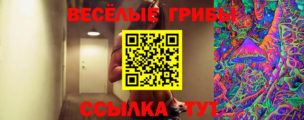 Псилоцибиновые грибы GOLDEN TEACHER Саянск