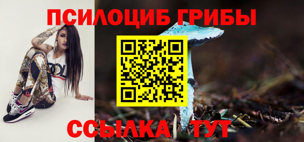 Псилоцибиновые грибы Magic Shrooms  Вход с VPN  наркошоп  Саянск 